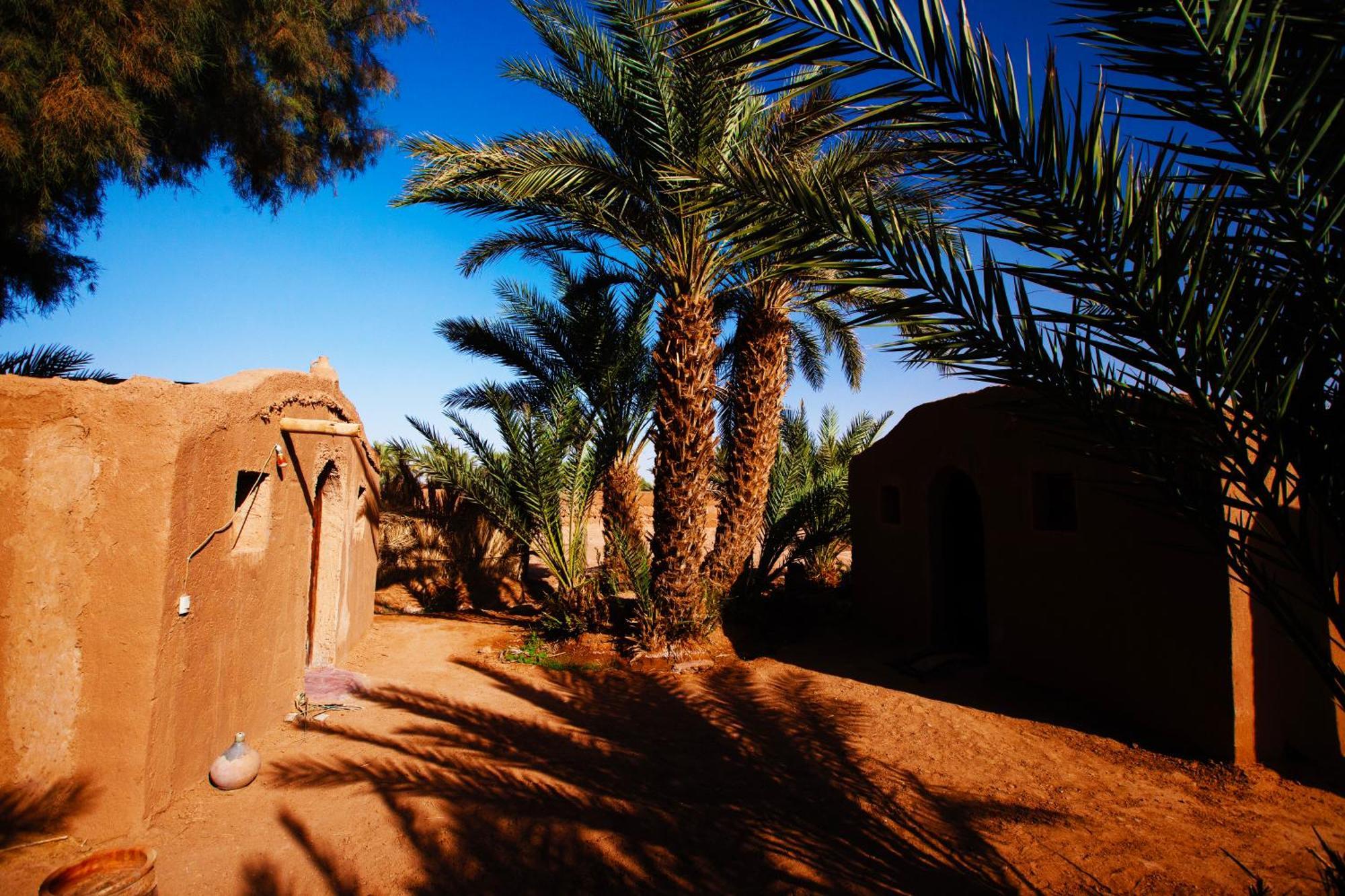 Auberge la Palmeraie M'Hamid Bagian luar foto