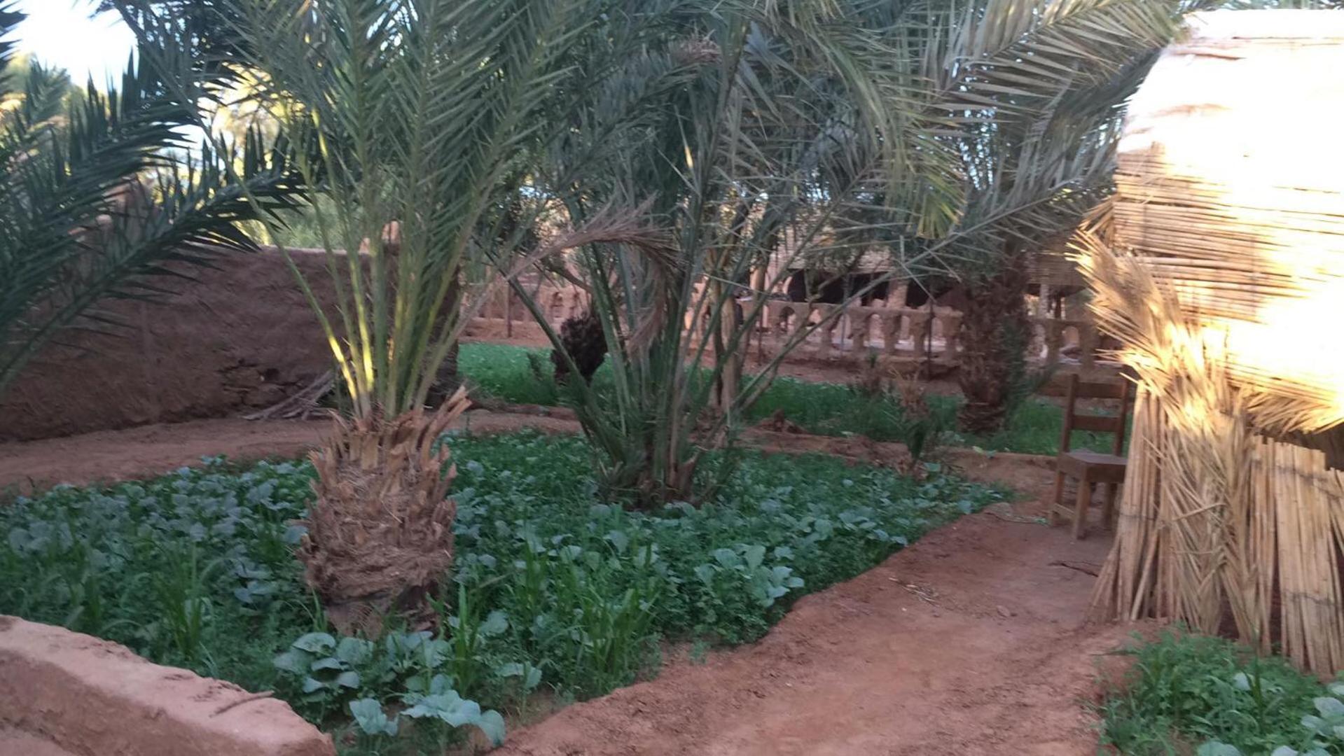 Auberge la Palmeraie M'Hamid Bagian luar foto